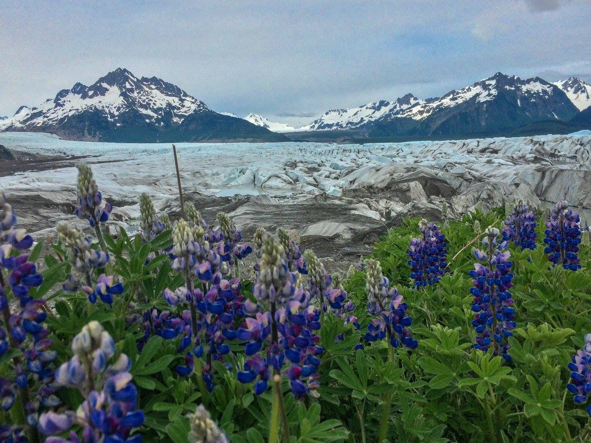 Glacier